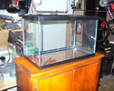 Fish Tank
